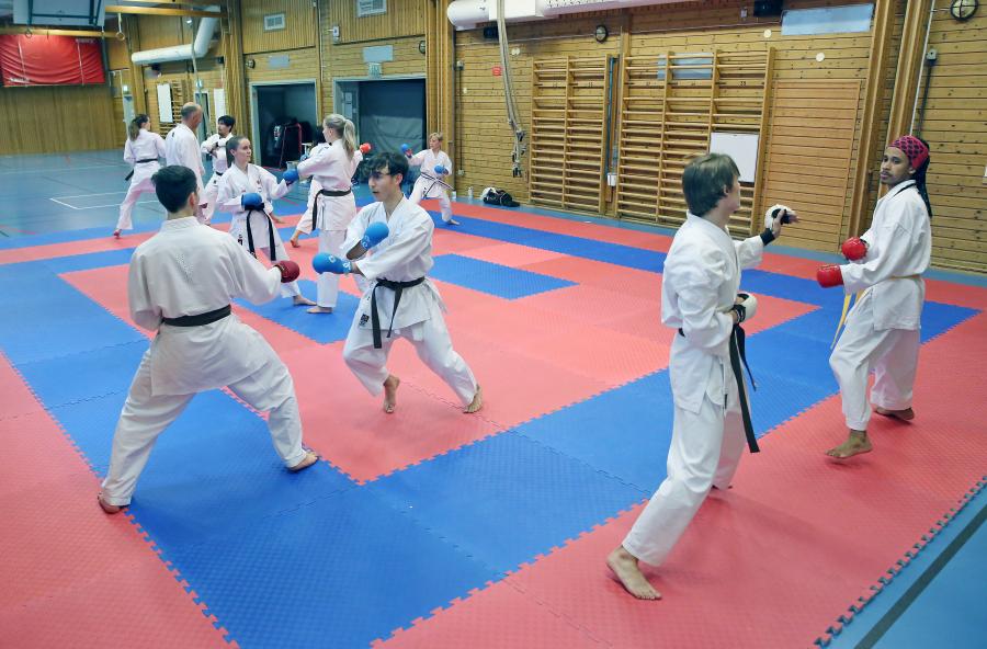 Övre Norrlands Karateförbund, ÖNKF, hade lördag 1 oktober kumiteträning i Umeå, med ÖNKF:s kumitetränare Simon Adolfsson. Första passen under dagen var det teknikträning, och efter lunchen matchträning med domare.