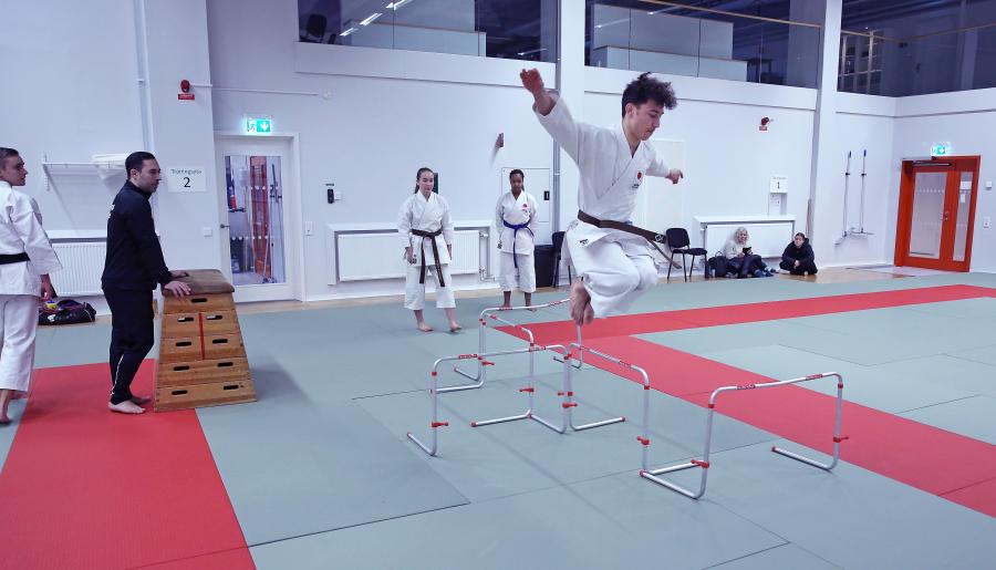 Övre Norrlands Karateförbund, ÖNKF, hade lördag 4 februari kataträning i Umeå, med ÖNKF:s kumitetränare Simon Adolfsson. Första passen under dagen var det teknikträning, och efter lunchen matchträning med domare.
