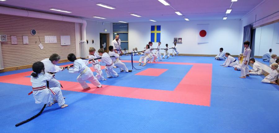 Helgen 16-17 september samlades karatebarn upp till och med 12 år i Budokan i Skellefteå. Övre Norrlands Karateförbund, ÖNKF, stod som arrangör av träffen, som syftade till att unga medlemmar i ÖNKF:s klubbar skulle få samlas och umgås under lättsamma former.